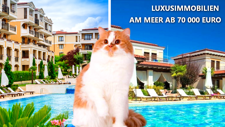 Luxusimmobilien am Meer ab 70 000 Euro